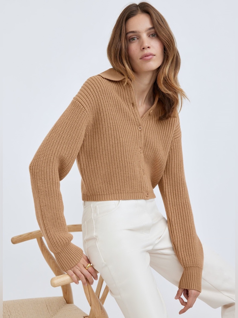 Aritzia Wilfred Next Door Merino Wool Camel Cropped Waffle-Knit Polo Cardigan
